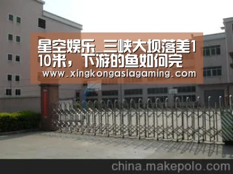 星空娱乐_三峡大坝落差110米,下游的鱼如何完成洄游?岂非一直分居两地?(图1) 星空体育