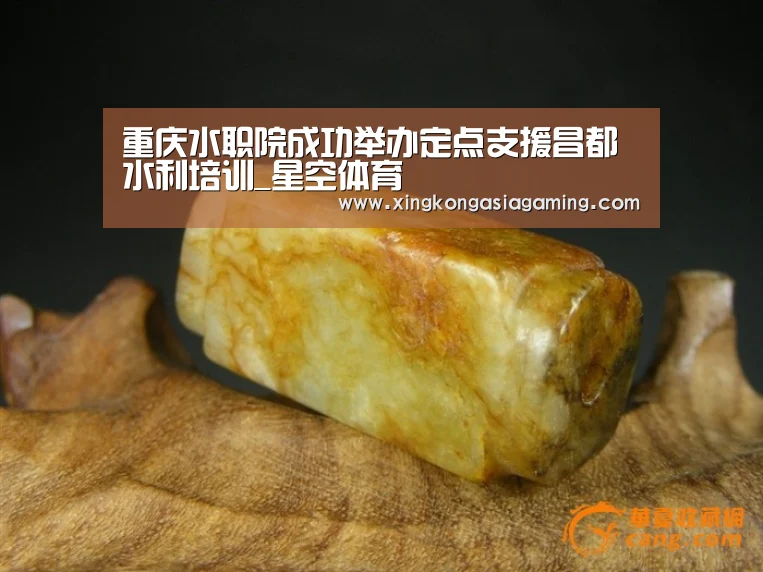 星空娱乐