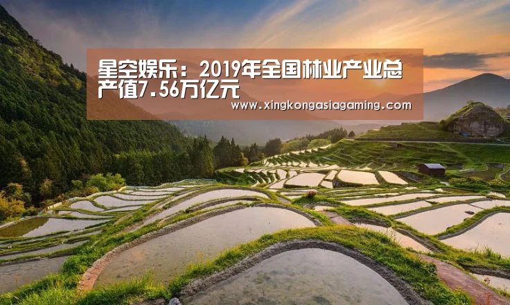 星空娱乐:2019年全国林业产业总产值7.56万亿元(图1) 星空竞猜