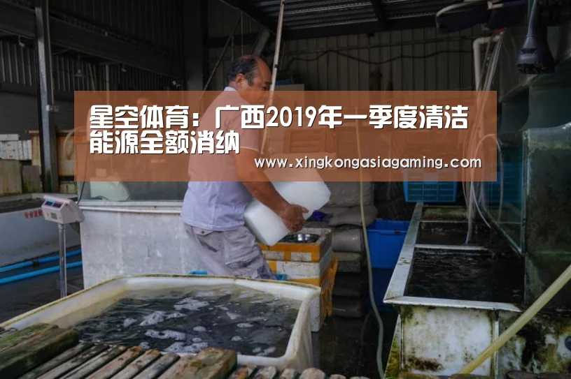 星空体育:广西2019年一季度清洁能源全额消纳(图2) 星空体育